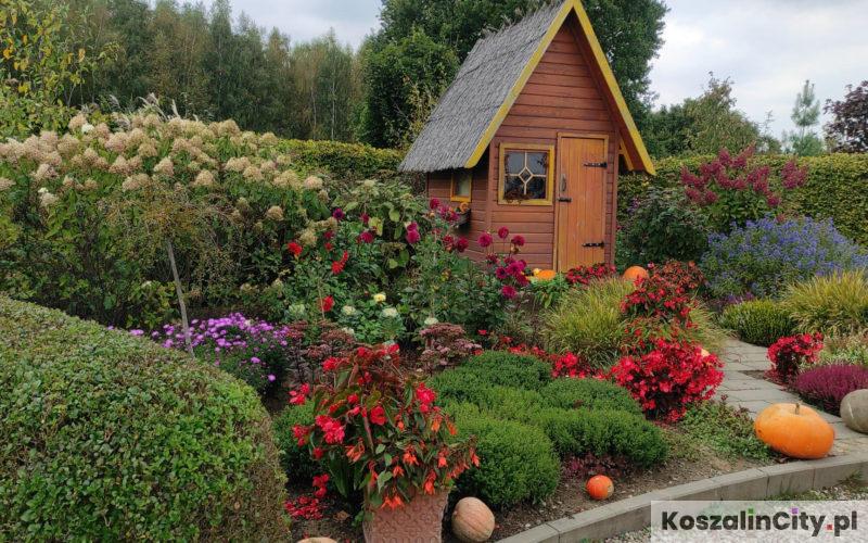 Kolorowe ogrody Hortulus w Dobrzycy