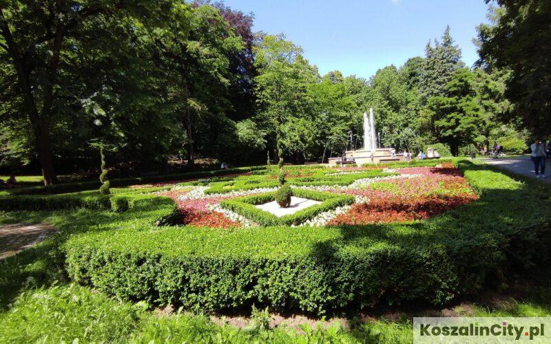 Róże i fontanna w parku w Koszalinie