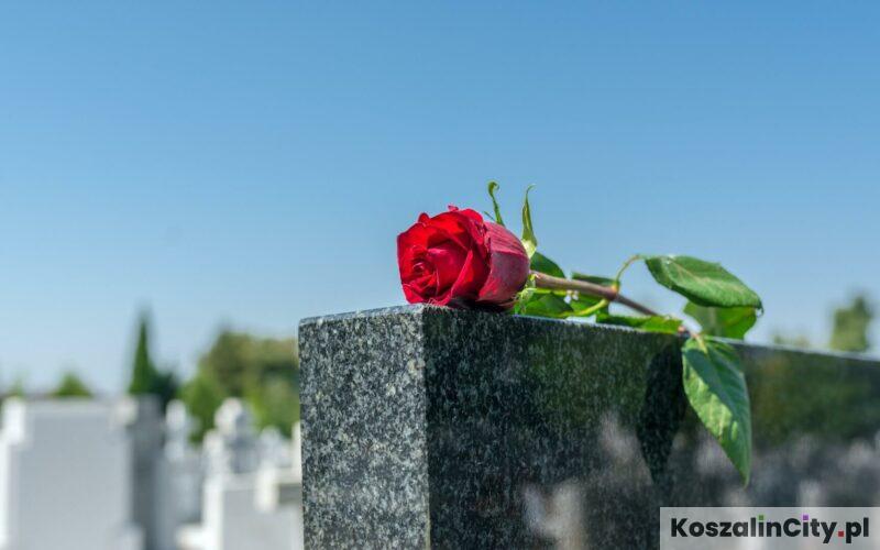 Cmentarz Komunalny w Koszalinie i Internetowa Wyszukiwarka Grobów