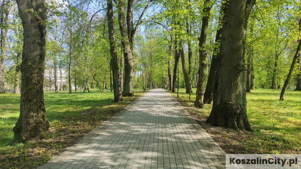 Ścieżka rowerowa w Parku Tadeusza Kościuszki w Koszalinie