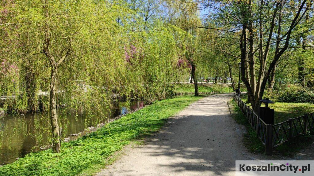 Ścieżka rowerowa w Parku im. Książąt Pomorskich w Koszalinie