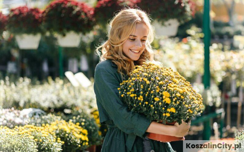 Sklep ogrodniczy w Koszalinie