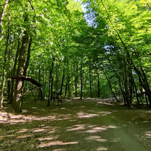 Góra Chełmska w Koszalinie – wieża widokowa, sanktuarium i szlaki piesze