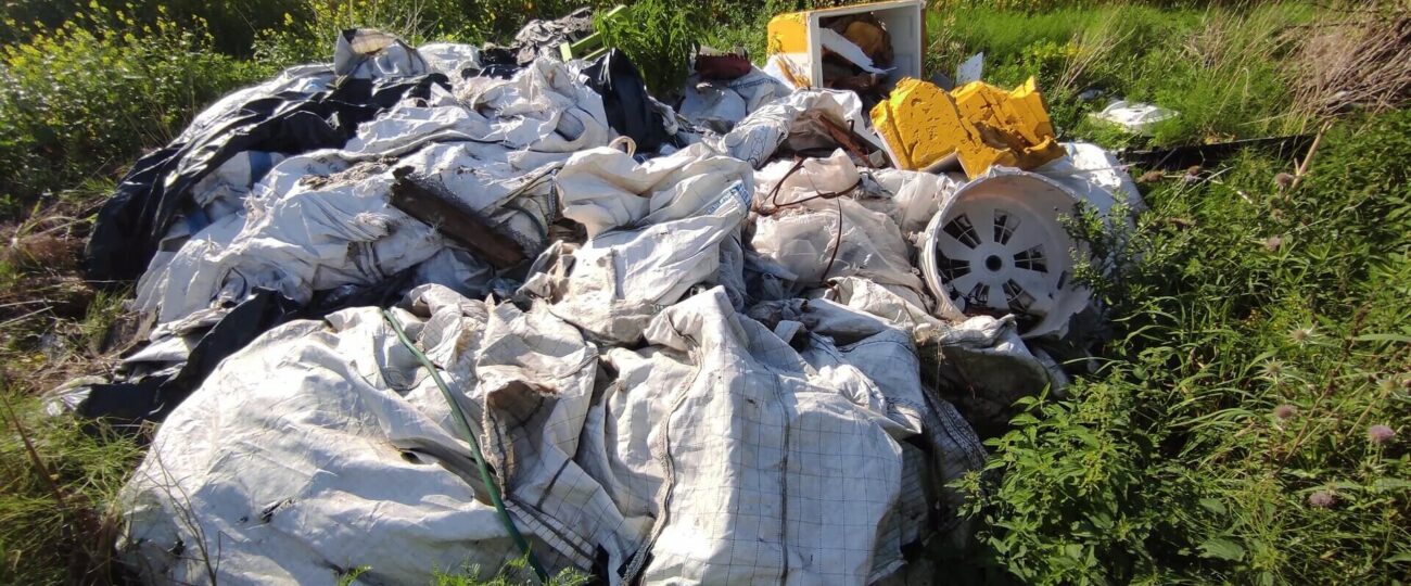 Wiosenne porządki w ogrodzie: co można wyrzucić do odpadów komunalnych, a co musi zagospodarować właściciel?