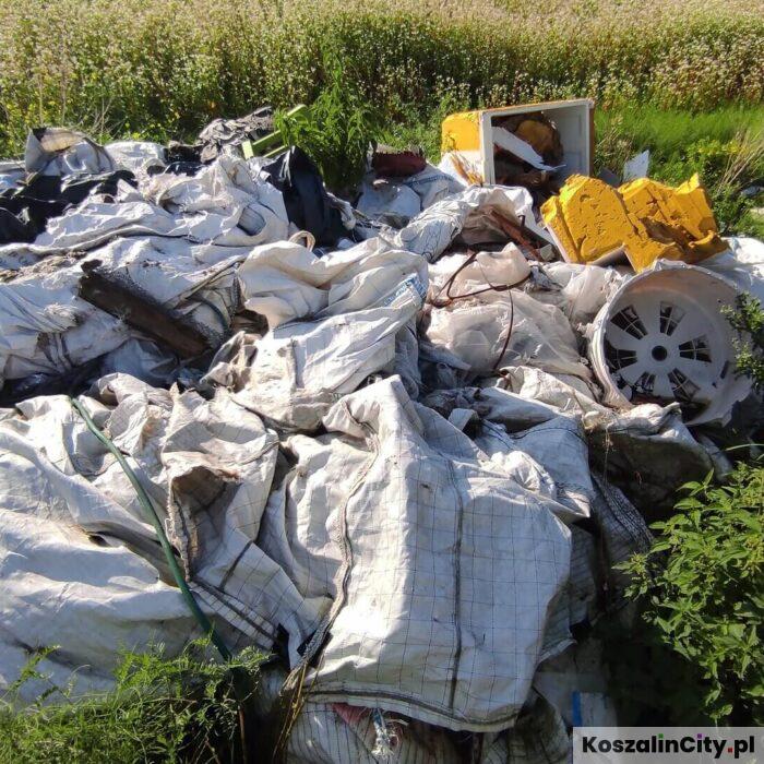 Wiosenne porządki w ogrodzie: co można wyrzucić do odpadów komunalnych, a co musi zagospodarować właściciel?