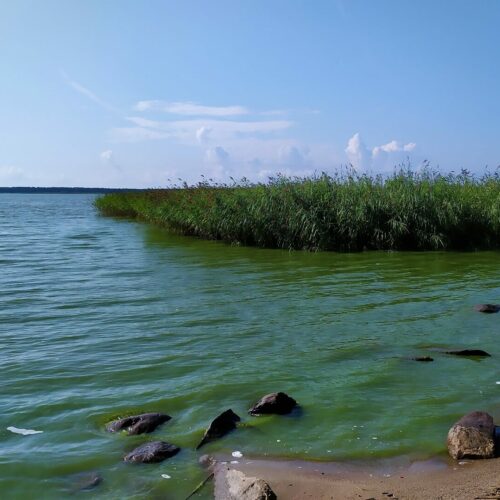 Jezioro Jamno – atrakcje, informacje i ciekawostki o Jamnie