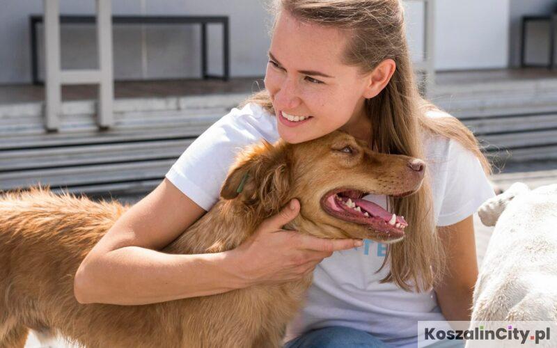 Schronisko dla zwierząt w Koszalinie - Leśny zakątek