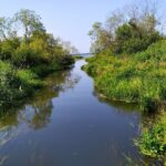 Ujście rzeki do jeziora Jamno