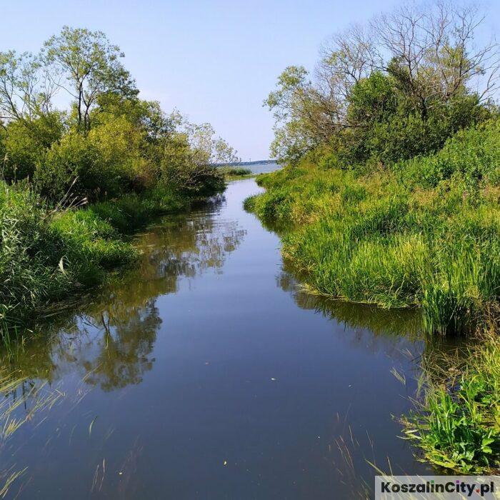 Koszalin planuje przyszłość terenów zielonych w Jamnie. Mieszkańcy mogą zgłaszać uwagi