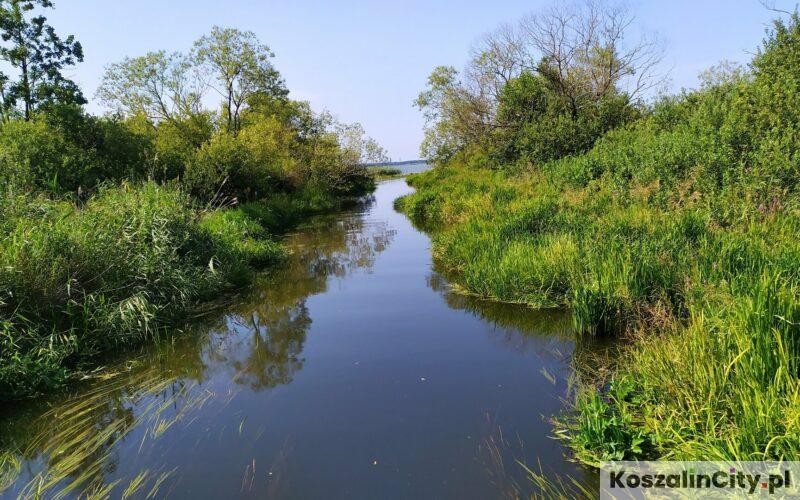 Ujście rzeki do jeziora Jamno