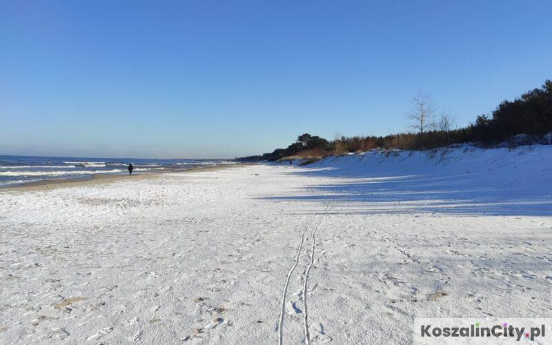 Morsowanie nad morzem - morsy i zlot morsów w Mielnie