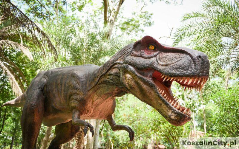 Park Dinozaurów w okolicach Koszalina