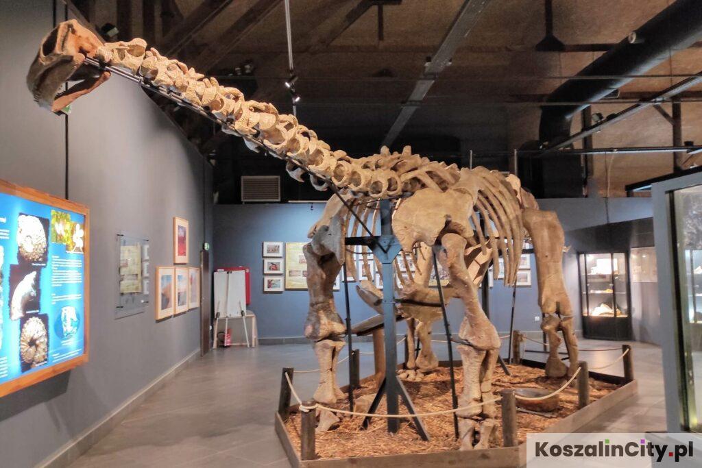 Szkielet dinozaura w JuraPark Solec Kujawski