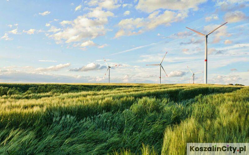 Turbiny wiatrowe nad morzem w okolicach Koszalina