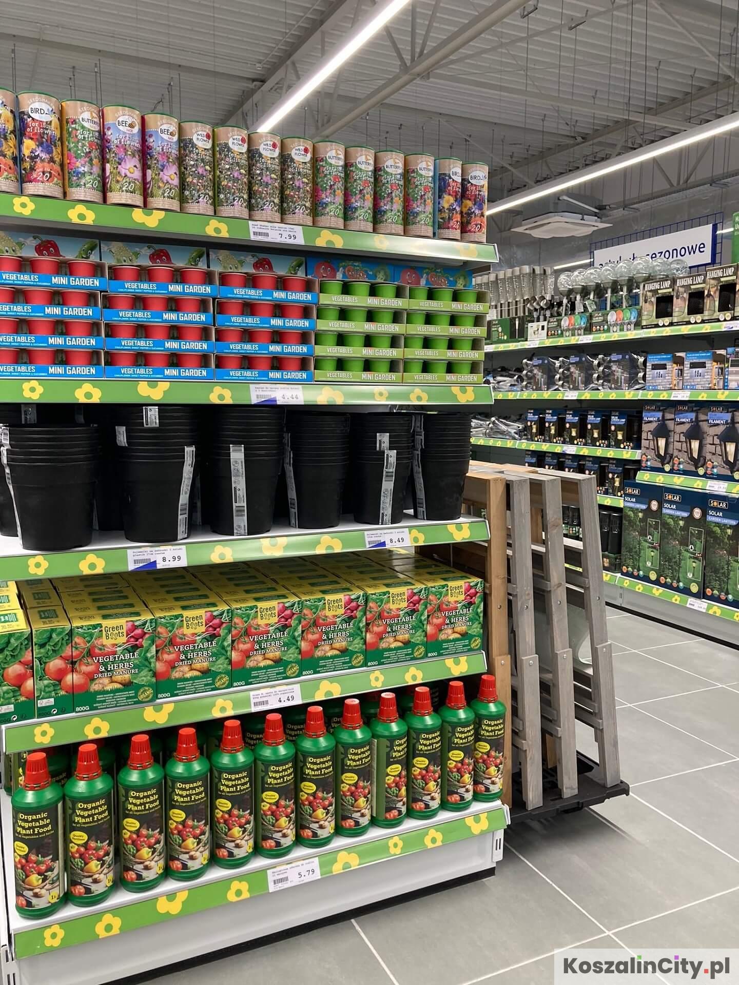 Oferta artykułów sezonowych