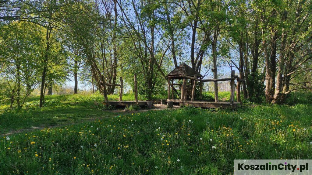 Drewniany tor przeszkół w Parku Robina Hooda w Koszalinie nad Dzierżęcinką