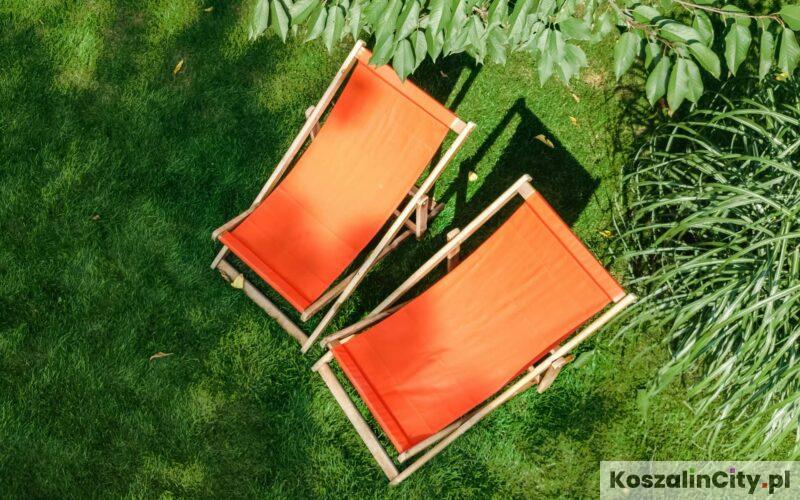 Kino na leżakach w Koszalinie - kiedy, gdzie, jakie filmy