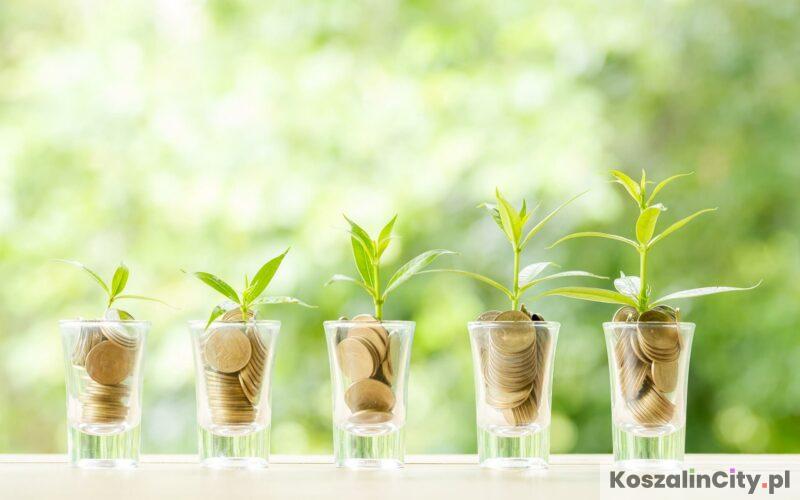 Obligacje skarbowe - rodzaje, oprocentowanie, gdzie kupić