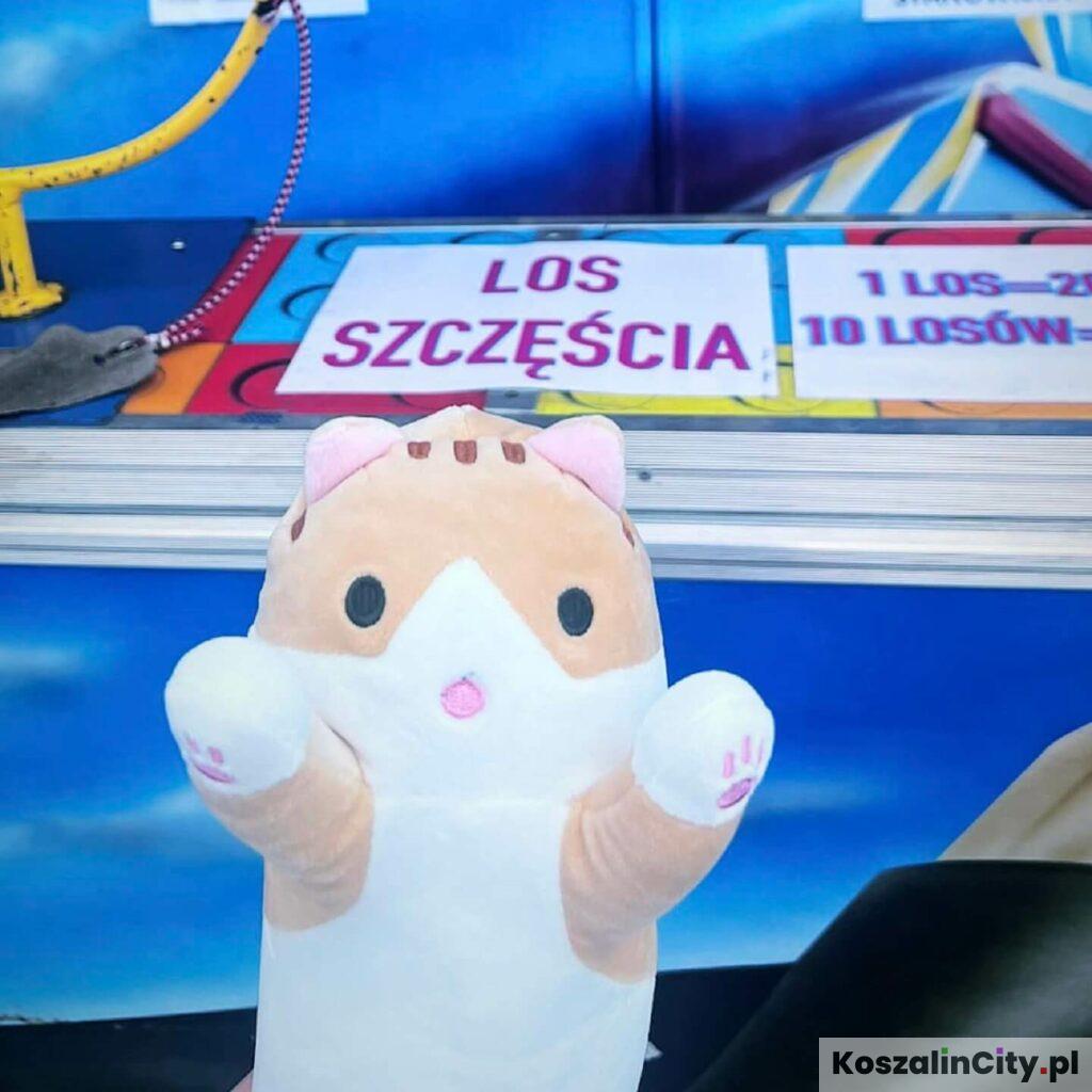 Europark Krasnal 12 - los szczęścia