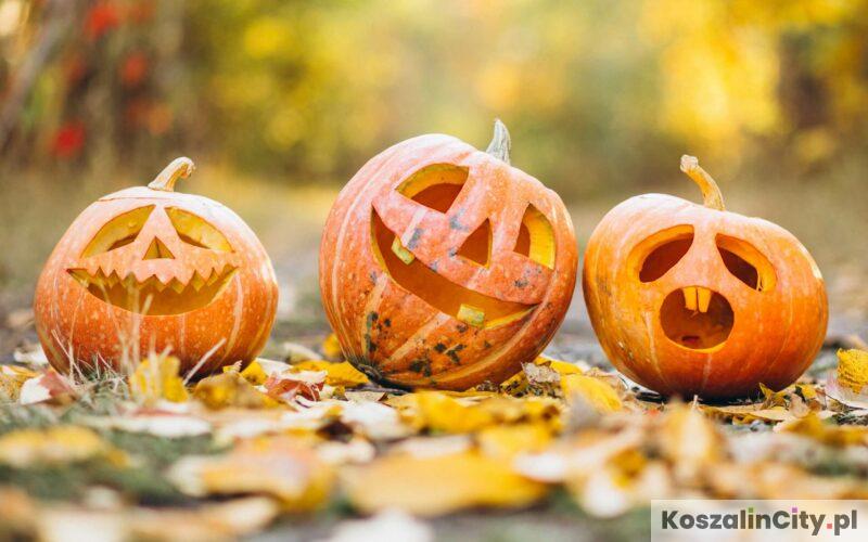 Halloween w Koszalinie - kiedy wypada