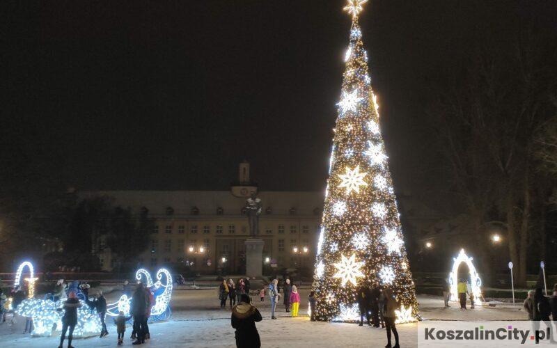 Choinka, iluminacje świetlne i ozdoby świąteczne w Koszalinie