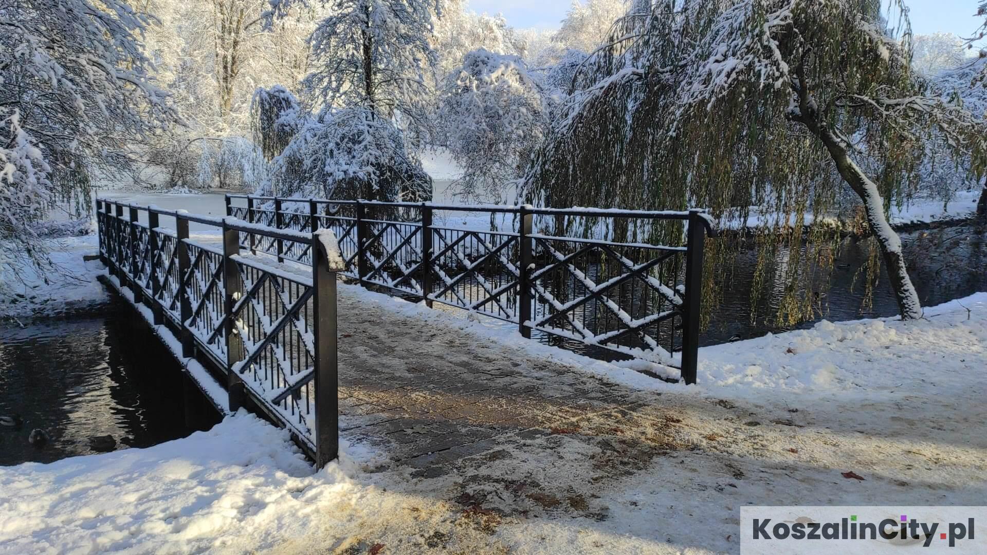 Mostek w Parku w Koszalinie zimą
