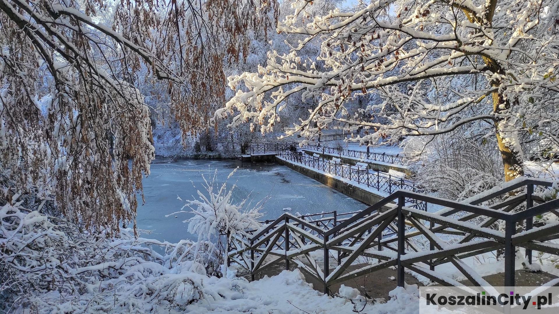 Park Książąt Pomorskich pokryty śniegiem