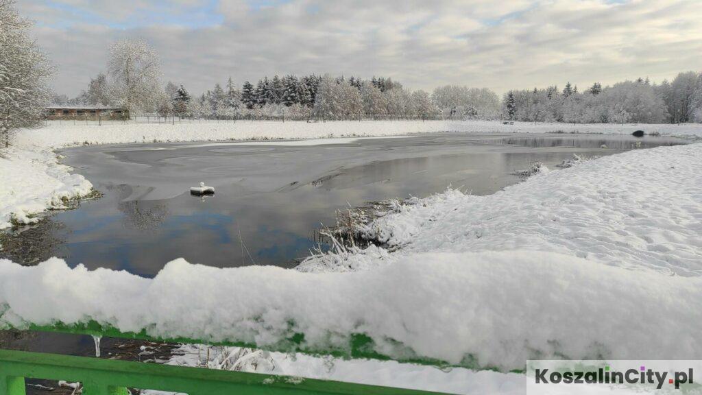 Śnieg nad jeziorem