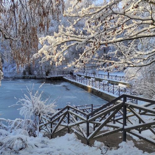 Śnieg w Koszalinie. Zobacz Koszalin zimą! [zdjęcia + video]