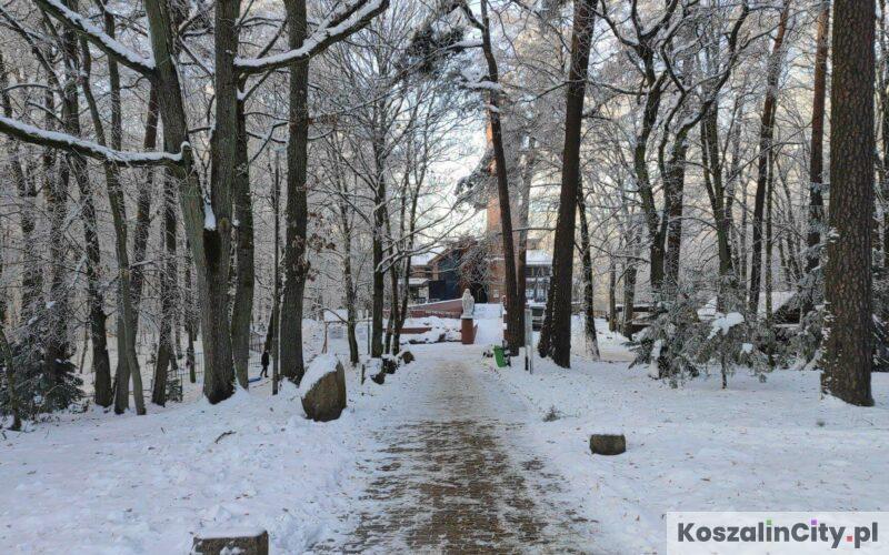 Widok na wieżę na Górze Chełmskiej zimą