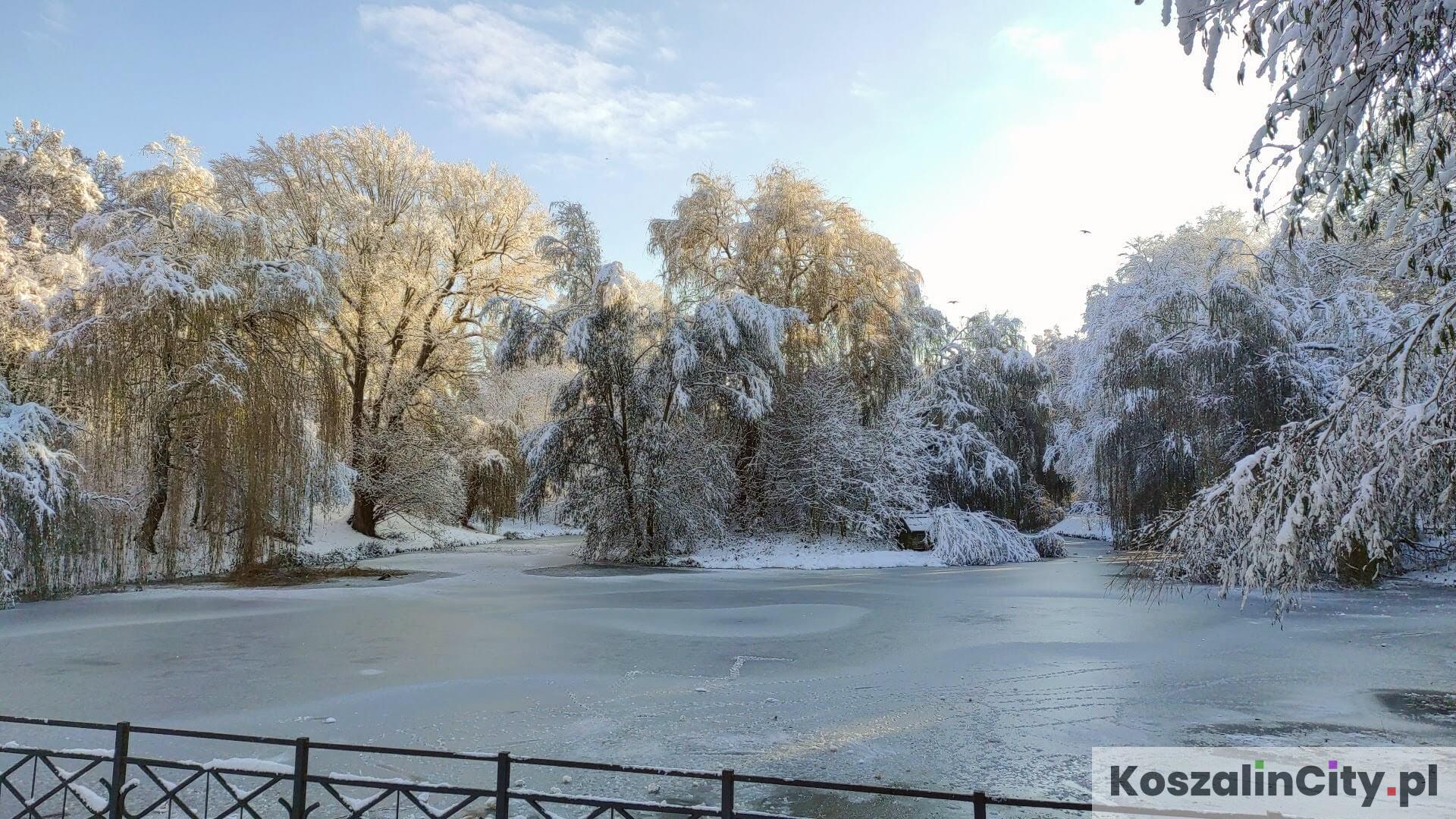 Zamarznięty staw w Parku Książąt Pomorskich w Koszalinie