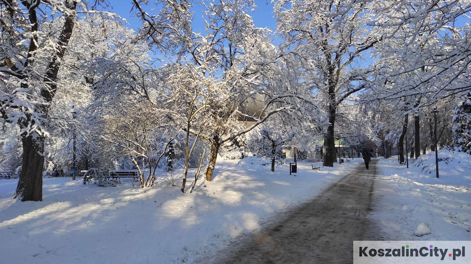 Zimowa sceneria w Koszalinie