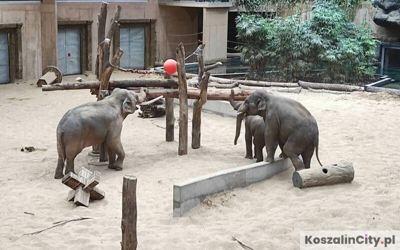 Orientarium w Łodzi