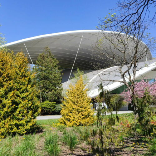 TOP 15 atrakcji w Koszalinie, które warto zobaczyć