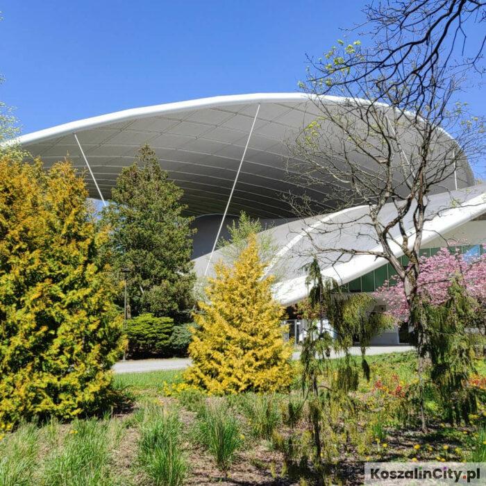 TOP 15 atrakcji w Koszalinie, które warto zobaczyć