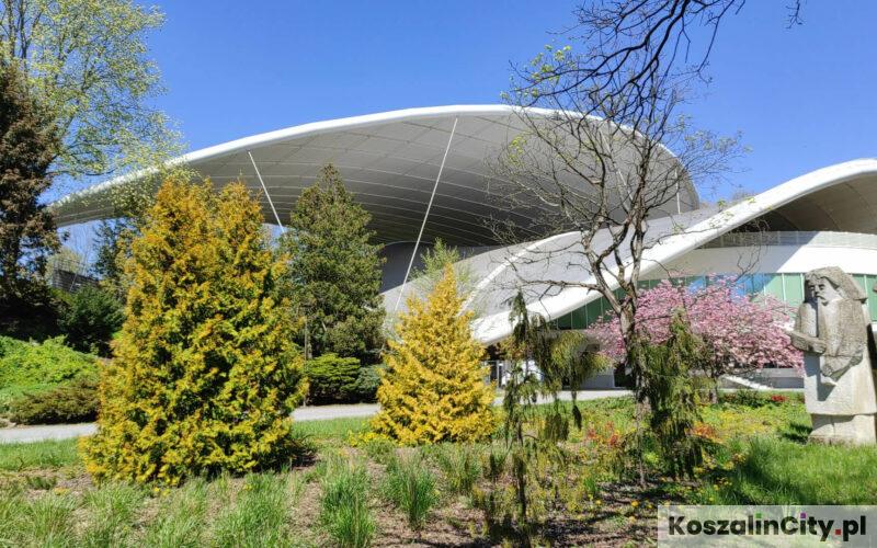 Aleja Gwiazd Kabaeru przy Amfiteatrze w Koszalinie