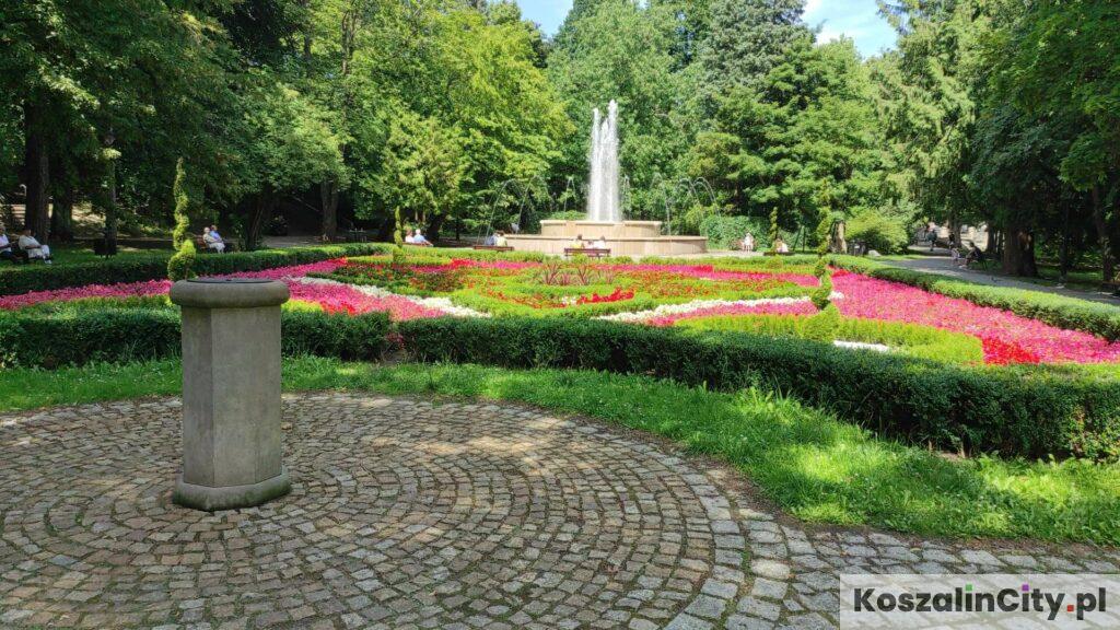 Dywan kwiatowy przy fontannie w parku książąt pomorskich w Koszalinie