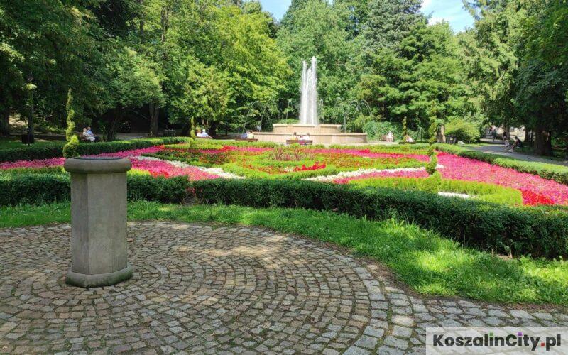 Dywan kwiatowy przy fontannie w parku książąt pomorskich w Koszalinie