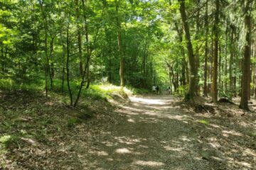 Pomorze Zachodnie: Zielony Hub Polski. Szansa dla lokalnych firm na energetyczną rewolucję