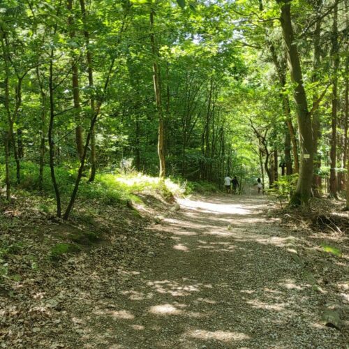 Pomorze Zachodnie: Zielony Hub Polski. Szansa dla lokalnych firm na energetyczną rewolucję