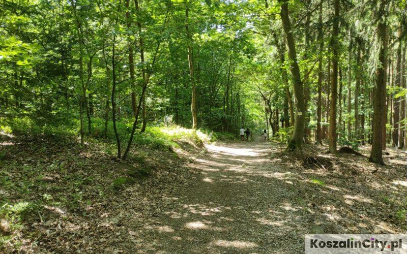 Stroma ścieżka rowerowa