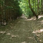 Szlak rowerowy offroad