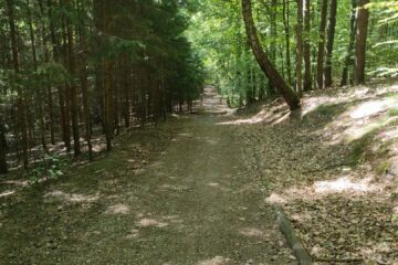 Rusza budowa trasy rowerowej Kołobrzeg–Pyszka