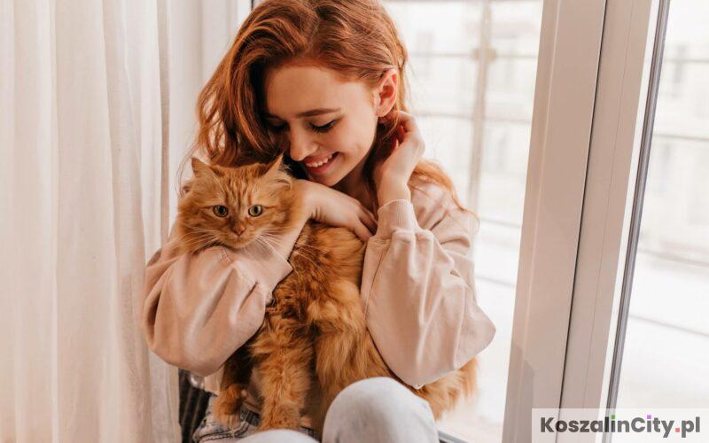 Dzień Kota w Polsce