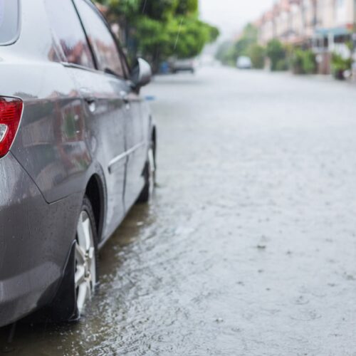 Skutki ulewy w Koszalinie: zalane budynki, powalone drzewa, liczne interwencje straży pożarnej [zdjęcia]
