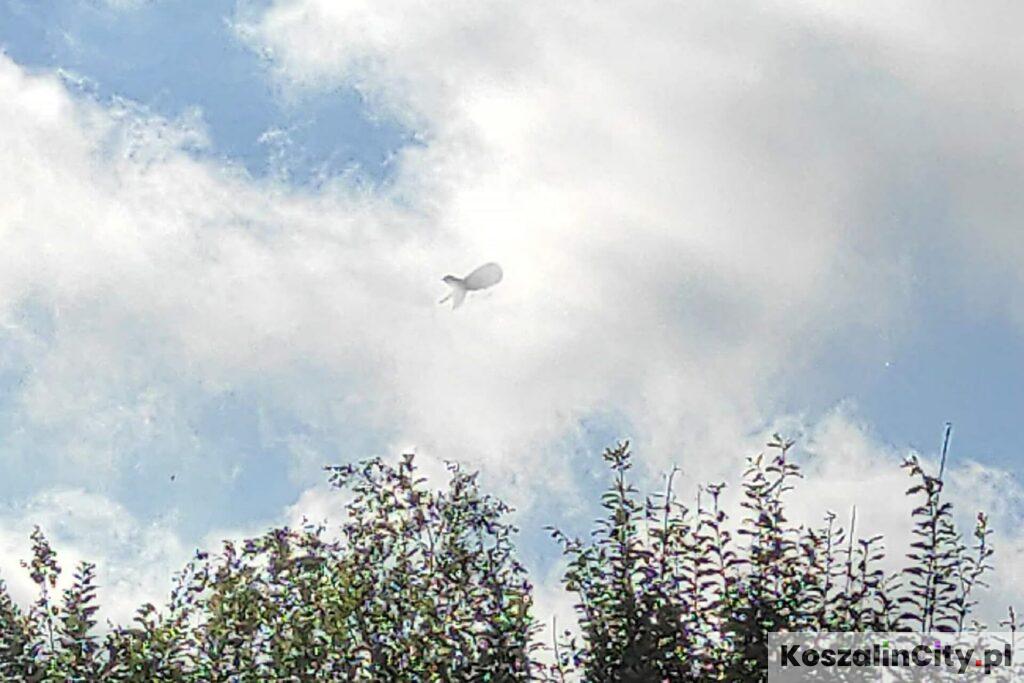 Tajemniczy sterowiec nad Koszalinem