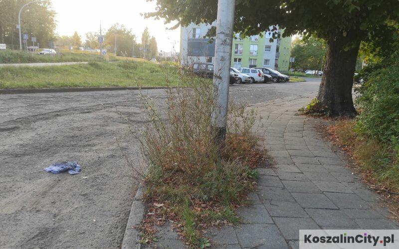 Trawa rosnąca na chodniku