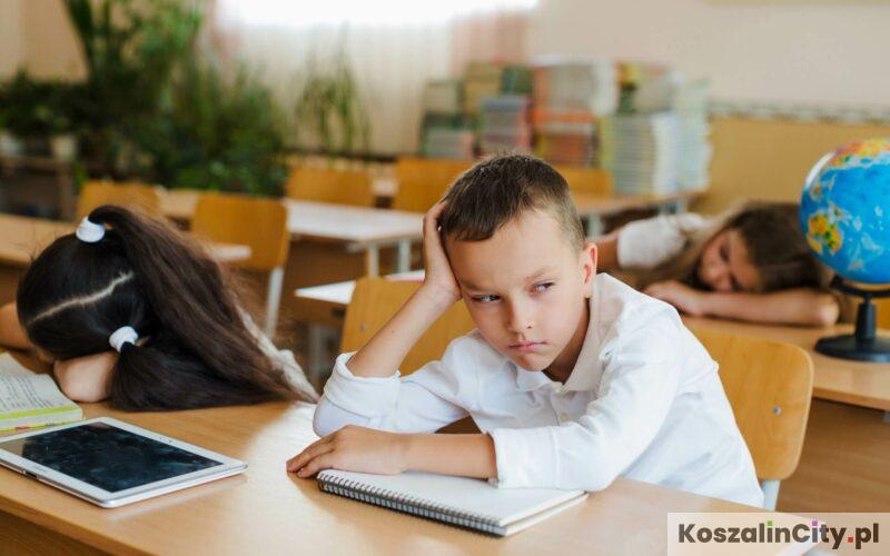 System pruski w edukacji