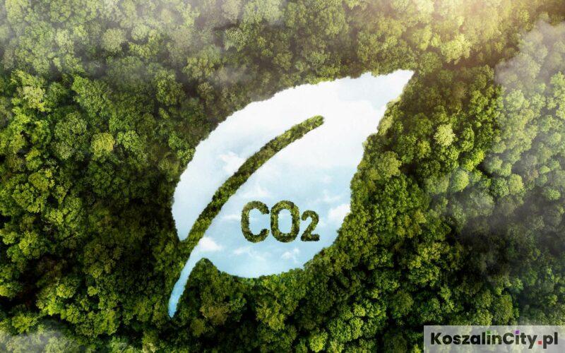 Dekarbonizacja w przemyśle