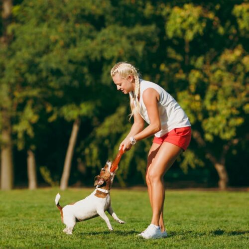 Wybieg dla psów w Koszalinie 🐕 – gdzie można wybrać się z psem?